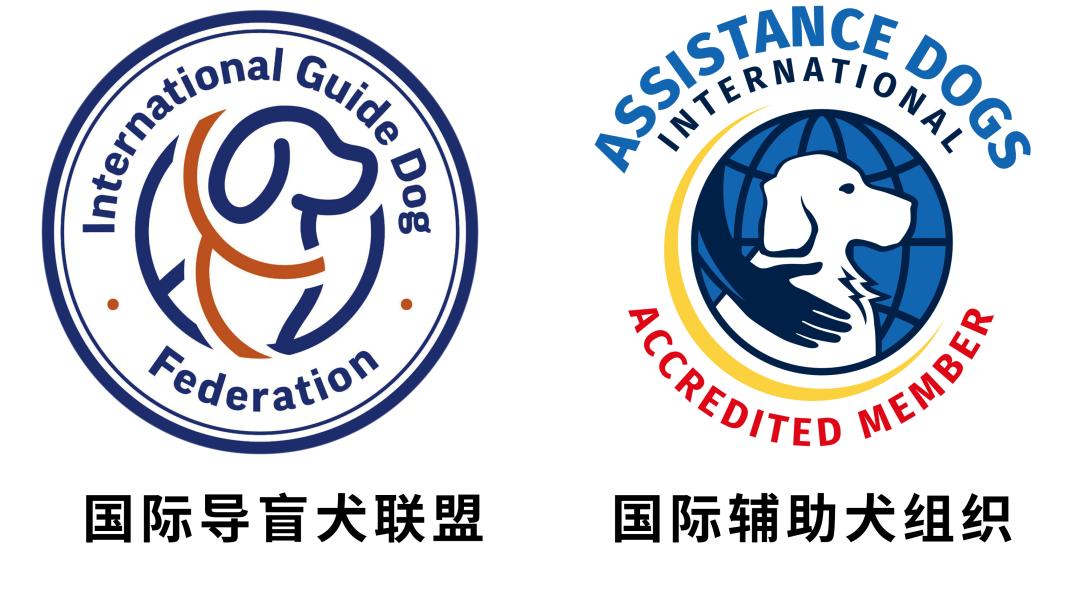 用了上百年的导盲犬,被网友们喷成了一场骗局