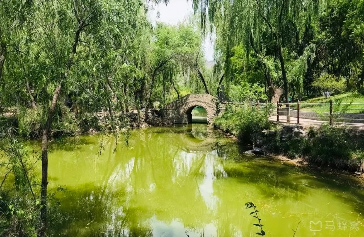 蘭州西湖公園,位於七里河東側,西津東路與濱河中路之間,原系明肅王府