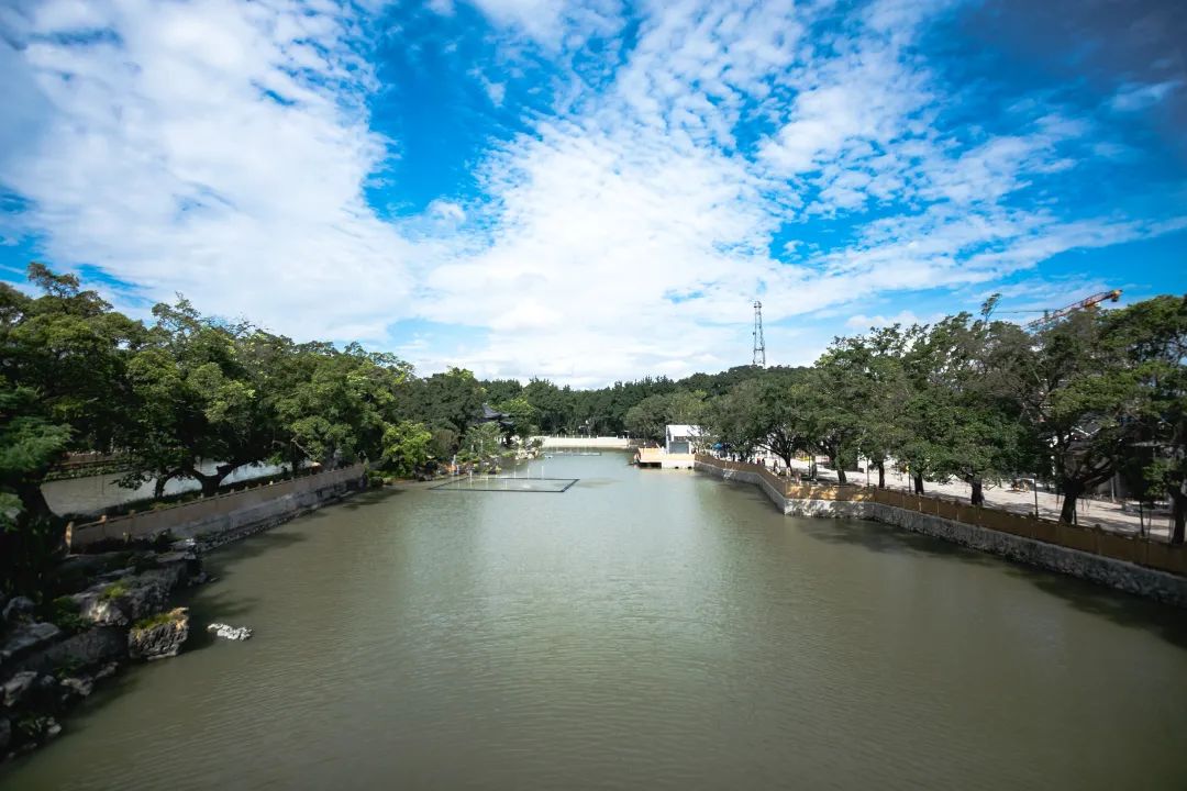 Fluss Almendares