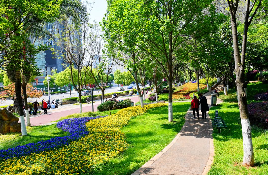 期待!昆明市启动最美街心花园(游园)评比活动