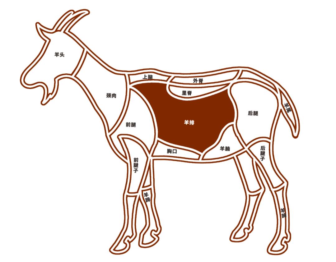 羊肉分割部位高清图图片