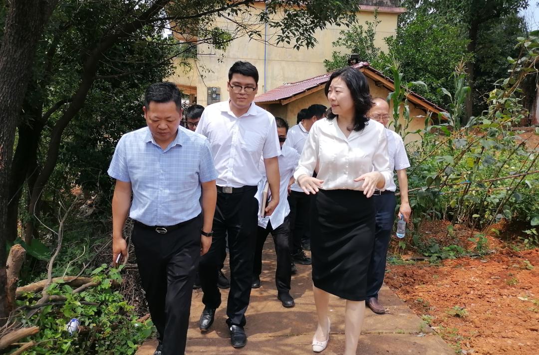 万晓娟督导调研两整治一提升工作