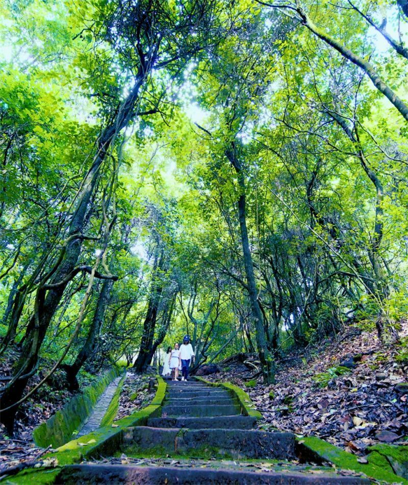 打卡楚雄山林秘境,让凉爽伴你踏上夏日旅程!