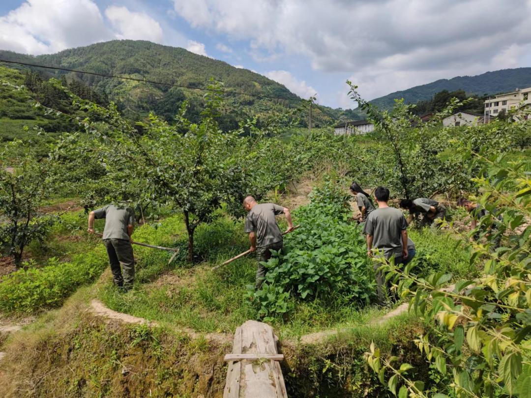 青年干部四下基层实践锻炼脚踏实地办实事锤炼本领显担当