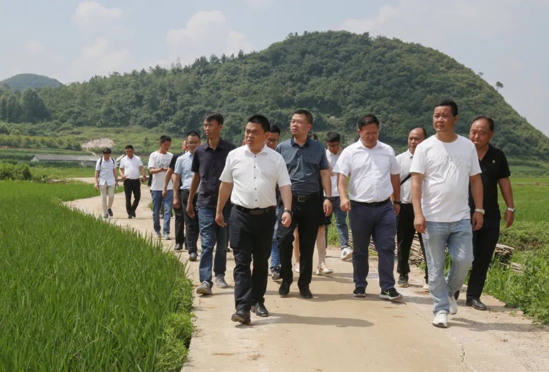 7月7日,安順市人大常委會副主任,平壩區委書記唐友波到樂平鎮調研特色