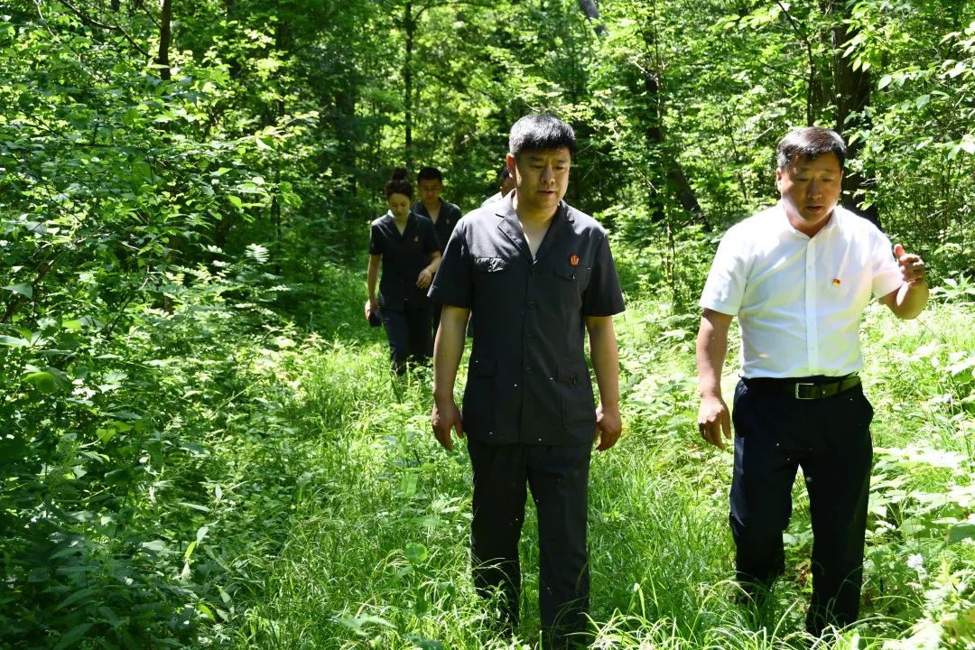 能力作風建設年綏陽人民法院駐東北虎豹國家公園管理局綏陽局法官工作