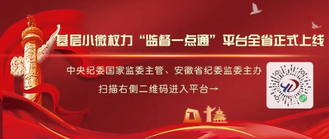 纪委监委全程跟进监督解决群众急难愁盼事广德市基层小微权力监督一