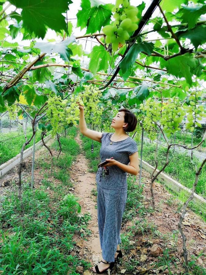 祝贺高县2名女性荣获川渝乡村女能人光荣称号