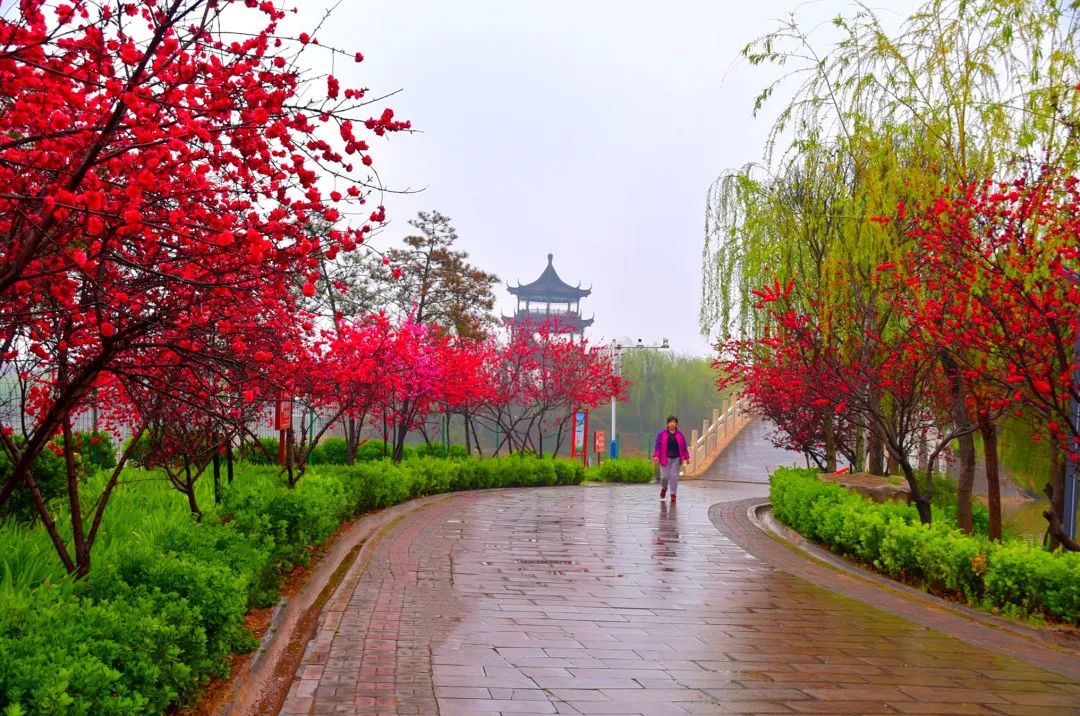 邯郸市中央公园图片