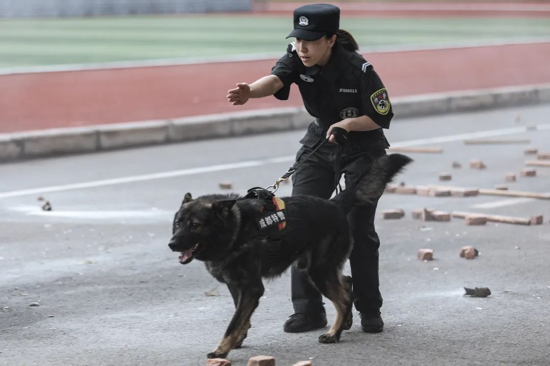 燃爆盛夏成都特警又火了