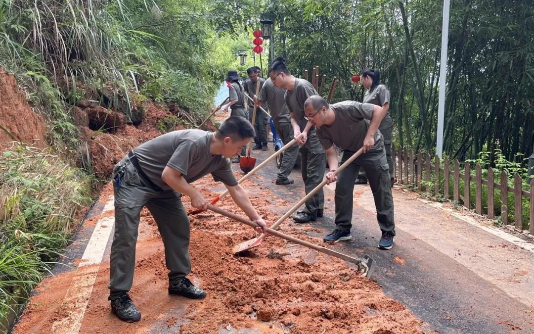 青年干部四下基层实践锻炼学思践悟细照笃行