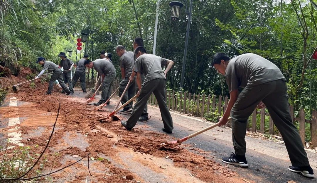 青年干部四下基层实践锻炼学思践悟细照笃行