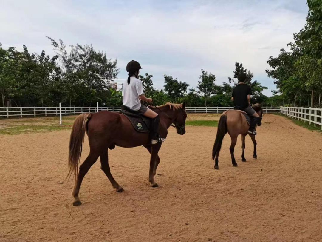 龙三骑马场之前训练时的情形.