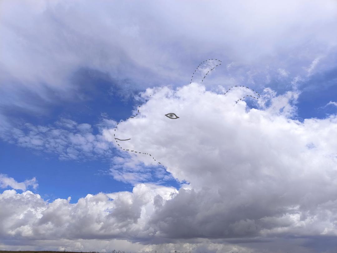 四子王旗万里晴空 白云"作画"