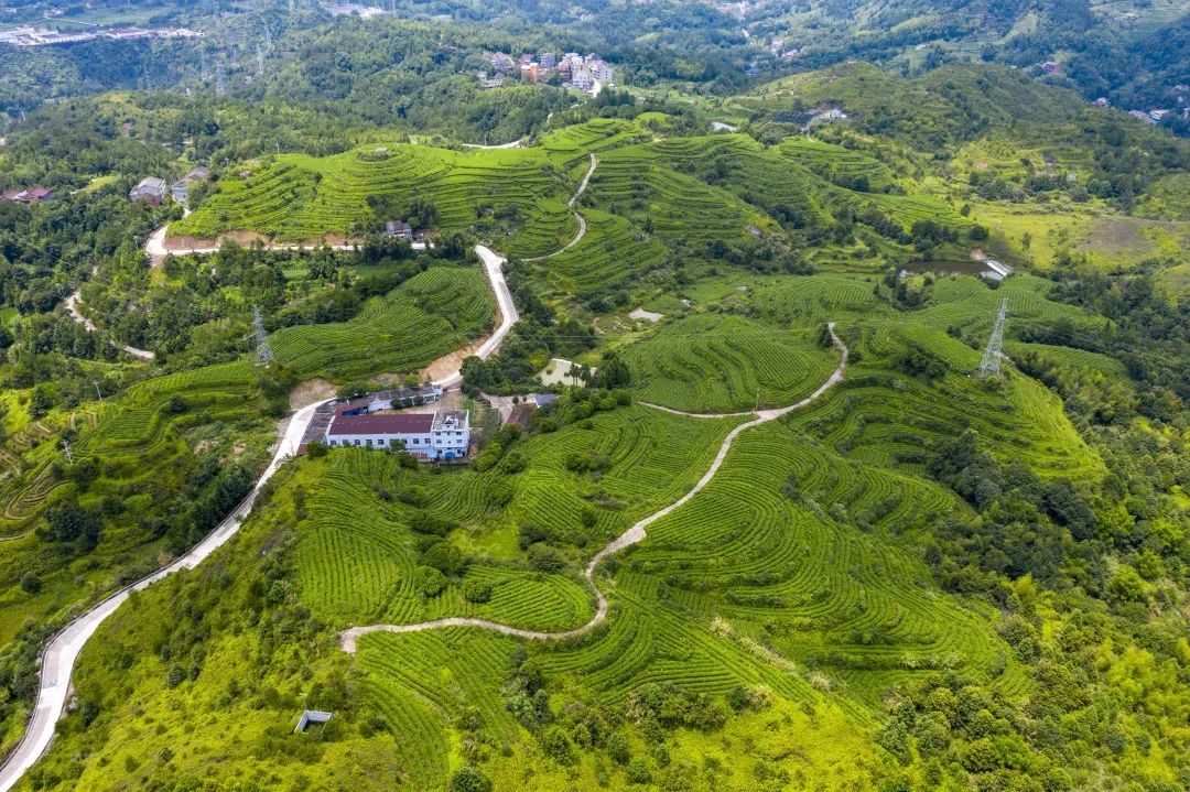 青文泰公路打通文成3个镇,纵贯周壤4个村,是文成县东北大门的交通要塞