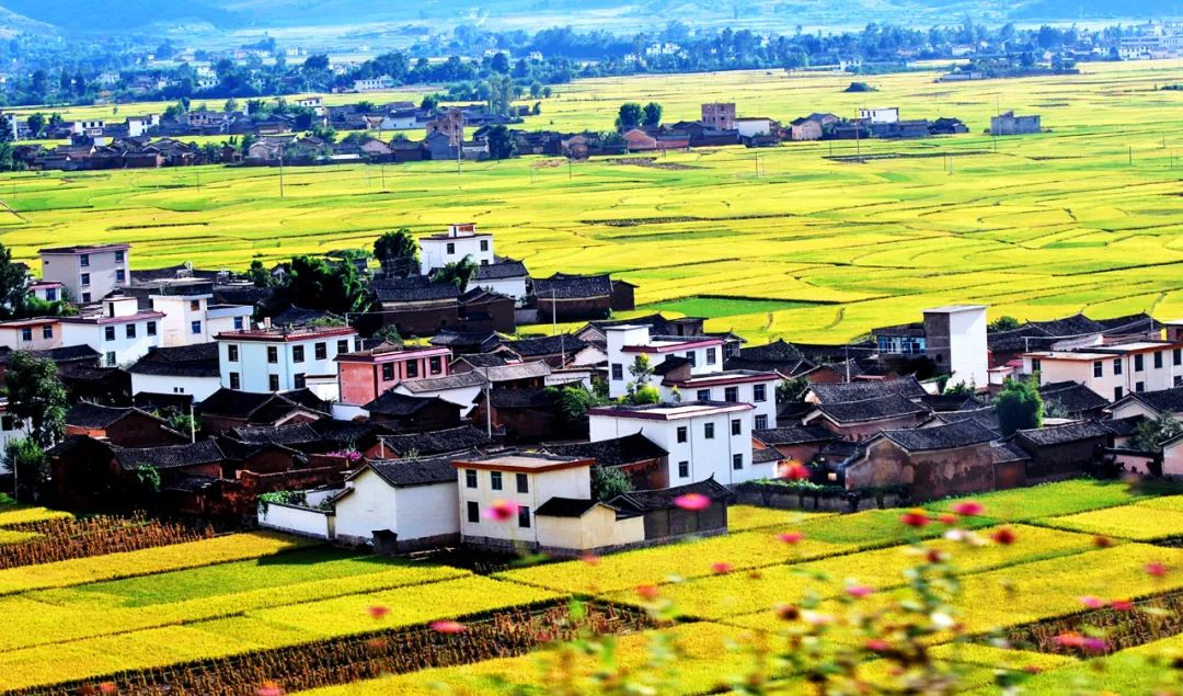 州市看点让乡村颜值更高气质更佳丽江市开展农村人居环境整治行动综述