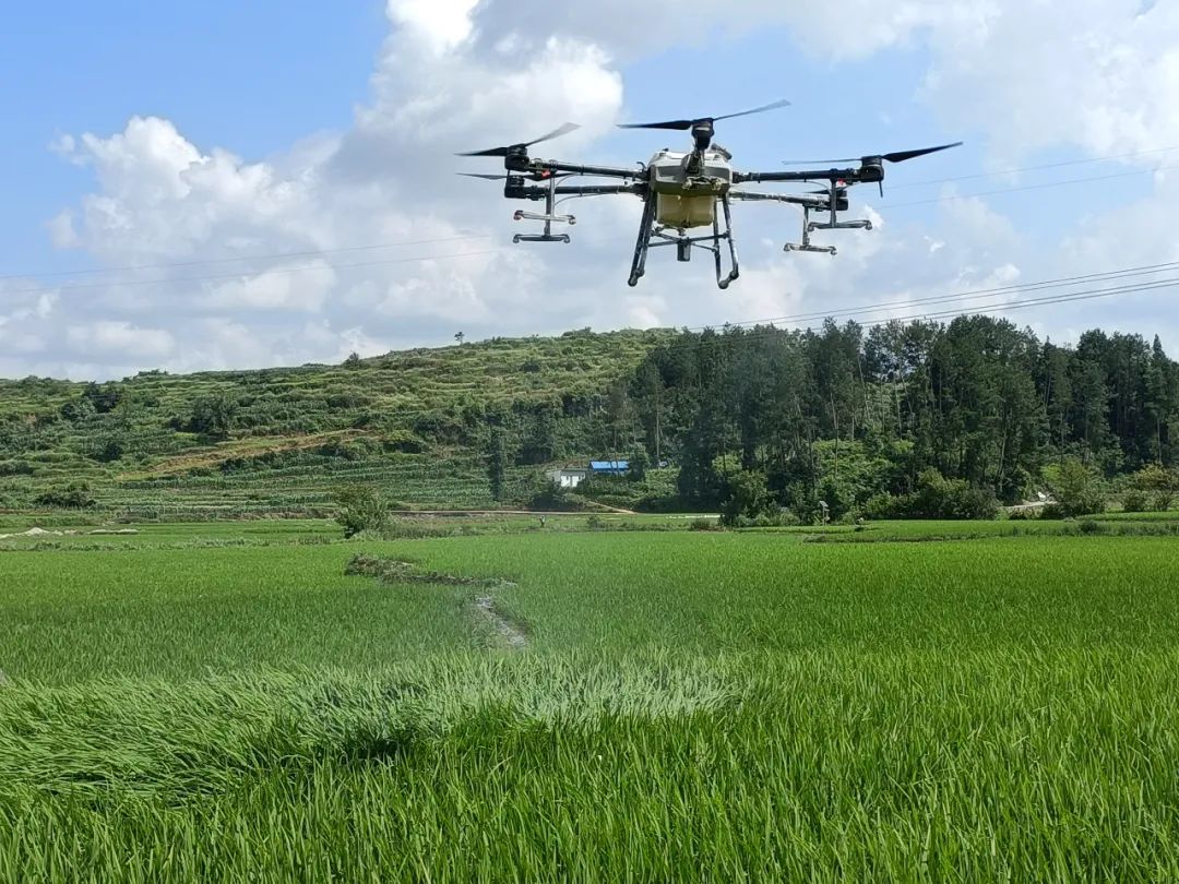 【农业现代化】黔坝米业:无人机植保助推水稻生产机械化