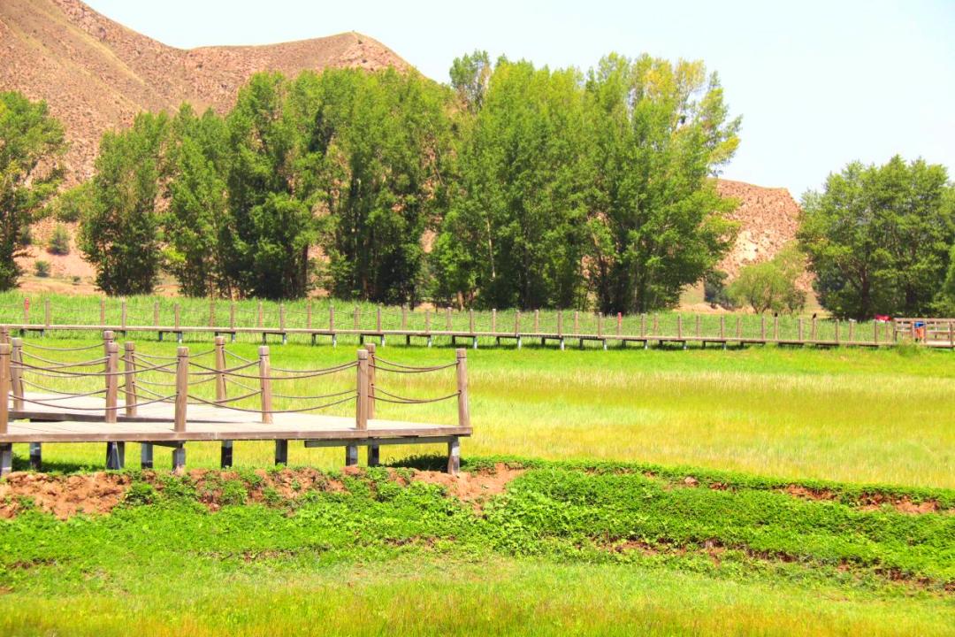 "游"记 | 漫步石人湾湿地 聆听自然的声音_澎湃号·政务_澎湃新闻-the