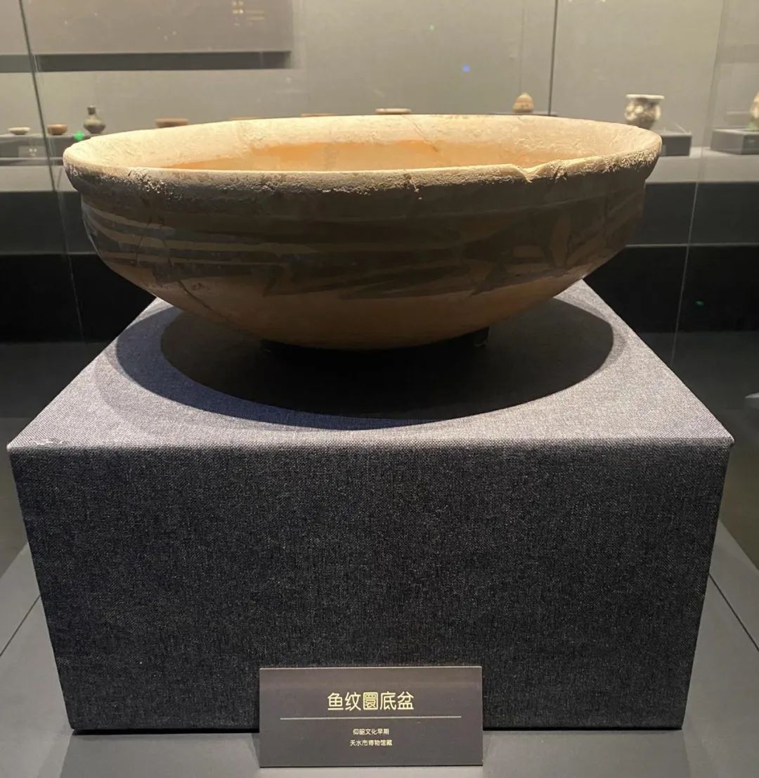 云看展之文明上源·大地曙光——大地湾遗址考古出土文物展(五)