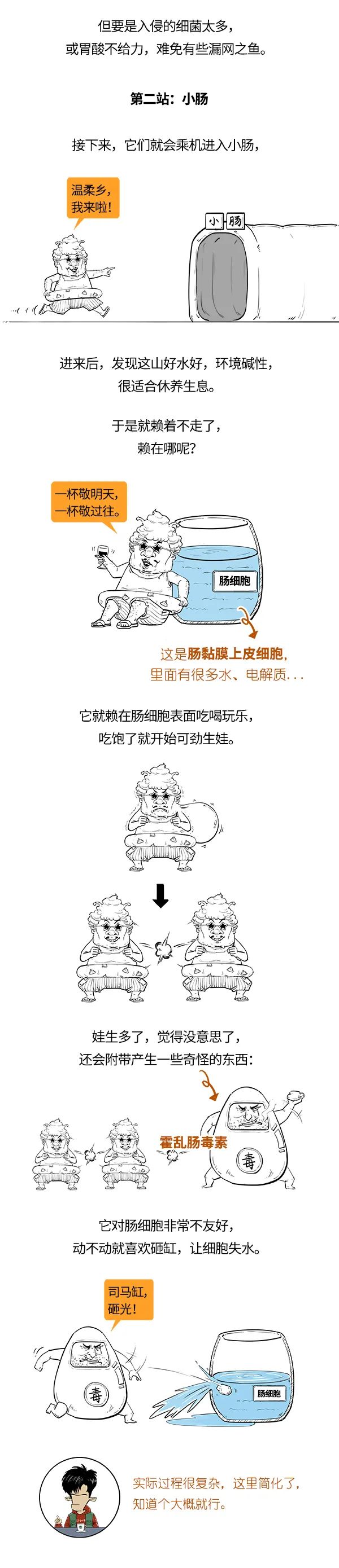 霍乱是咋祸祸你的?_澎湃号·湃客_澎湃新闻-The Paper