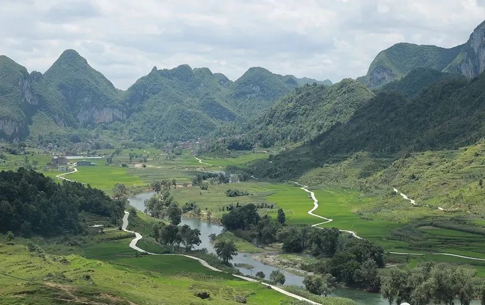 板当镇握好接力棒持续巩固拓展脱贫攻坚成果