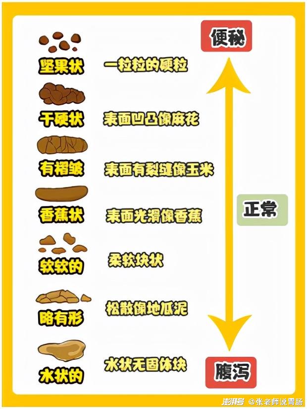 食物經過腸道的時間長短,可以通過觀察大便的形狀來判斷,這樣不僅可以