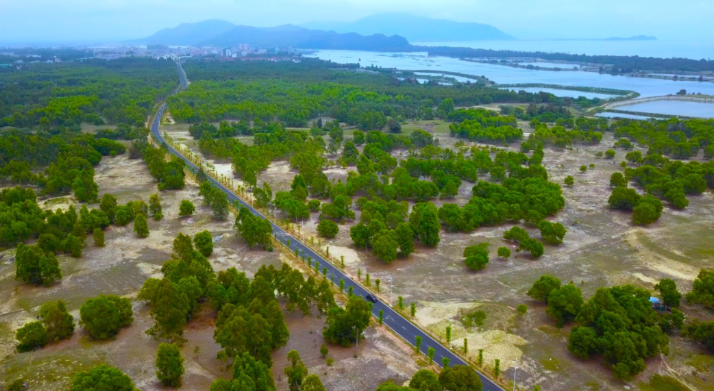 乡村振兴的陆丰答案