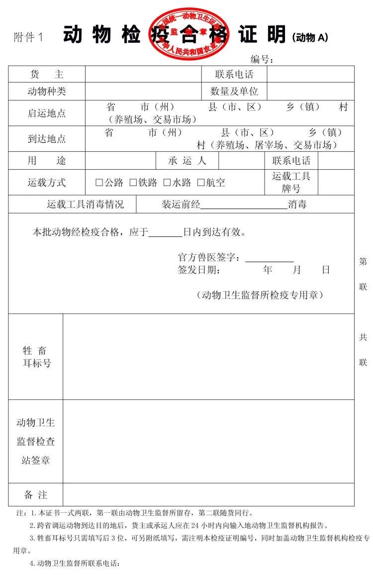 史上最全！航空公司宠物托运全攻略