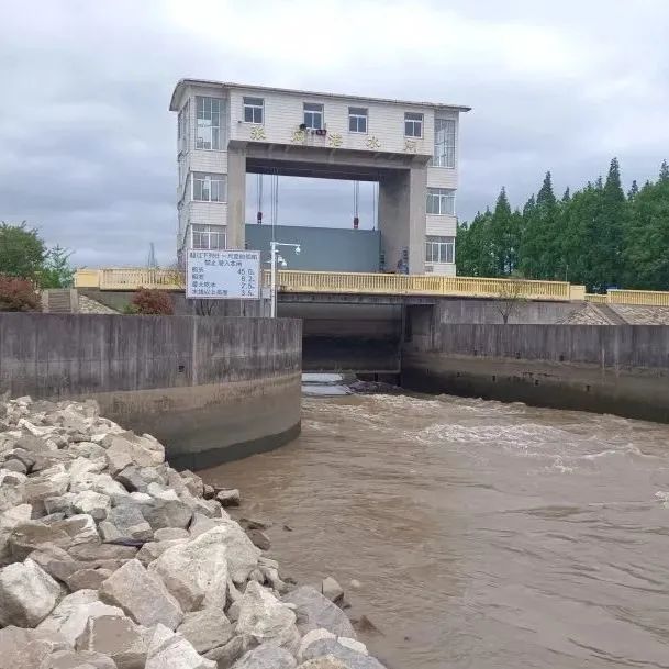 崇明区水务局强化水闸调度筑牢水质防护墙