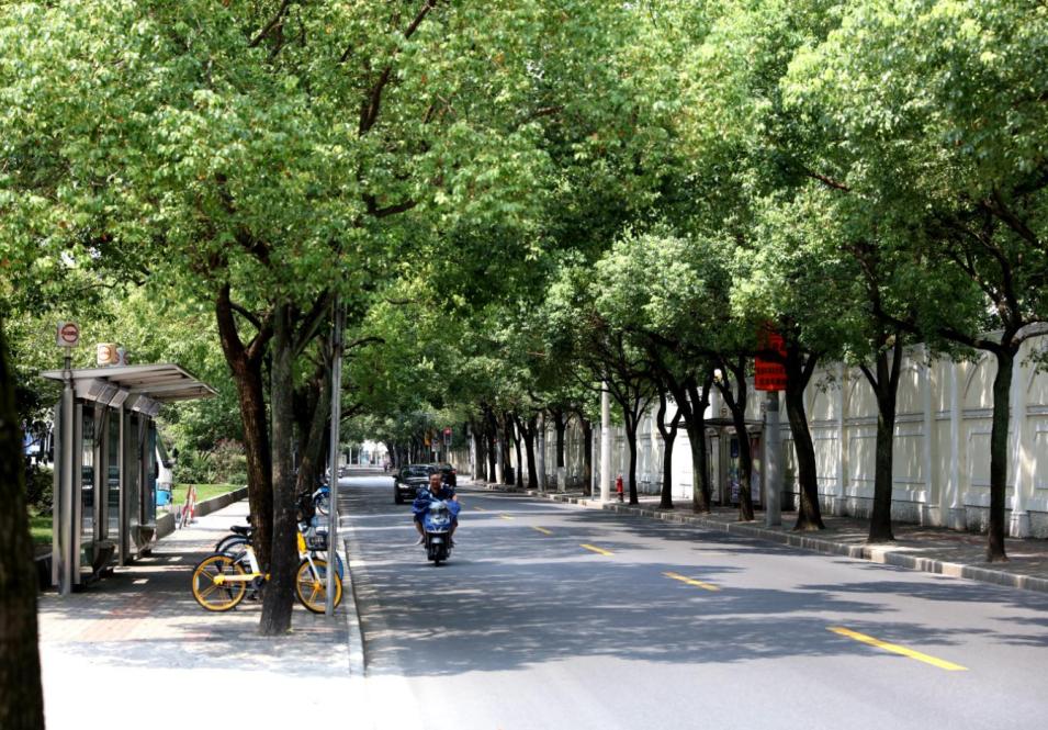 长宁区虹古路(北虹路—林泉路)普陀区延长西路(沪太路—双山路)