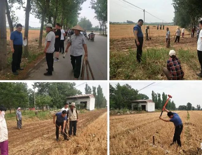 侯村镇实干快干赋能东南振兴