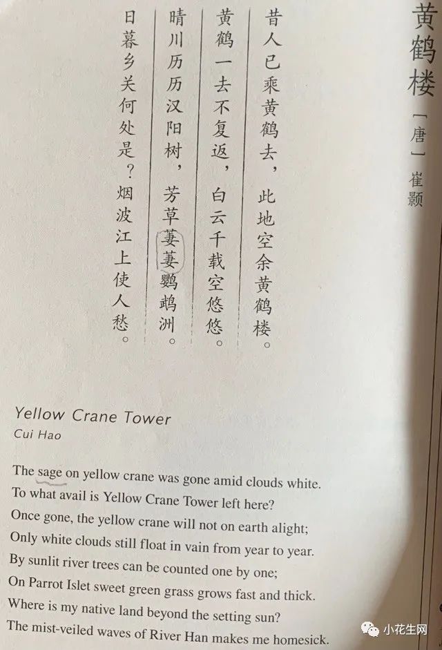 小学中英文诗词双语背诵_儿子上三年级英语差_三年级语文学习经验