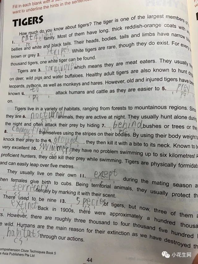 小学中英文诗词双语背诵_儿子上三年级英语差_三年级语文学习经验