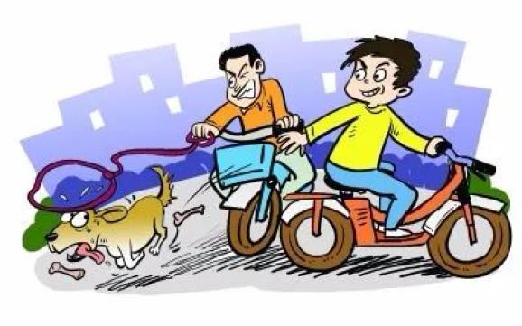 为群众办实事宁洱法院公开宣判一起偷狗案