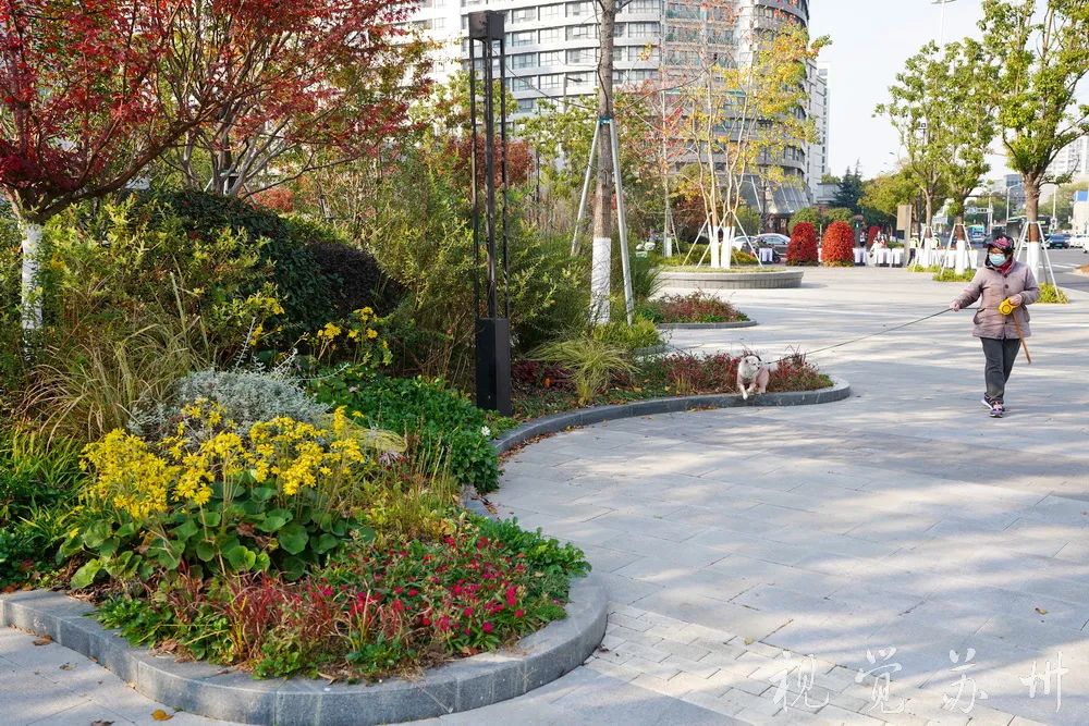 很幸运生活在苏州