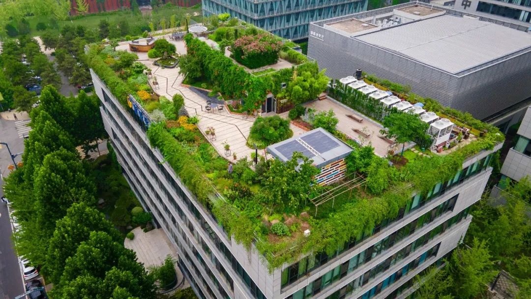 截至目前,沣西新城已经累计建成海绵型园区365万平方米,海绵型道路109