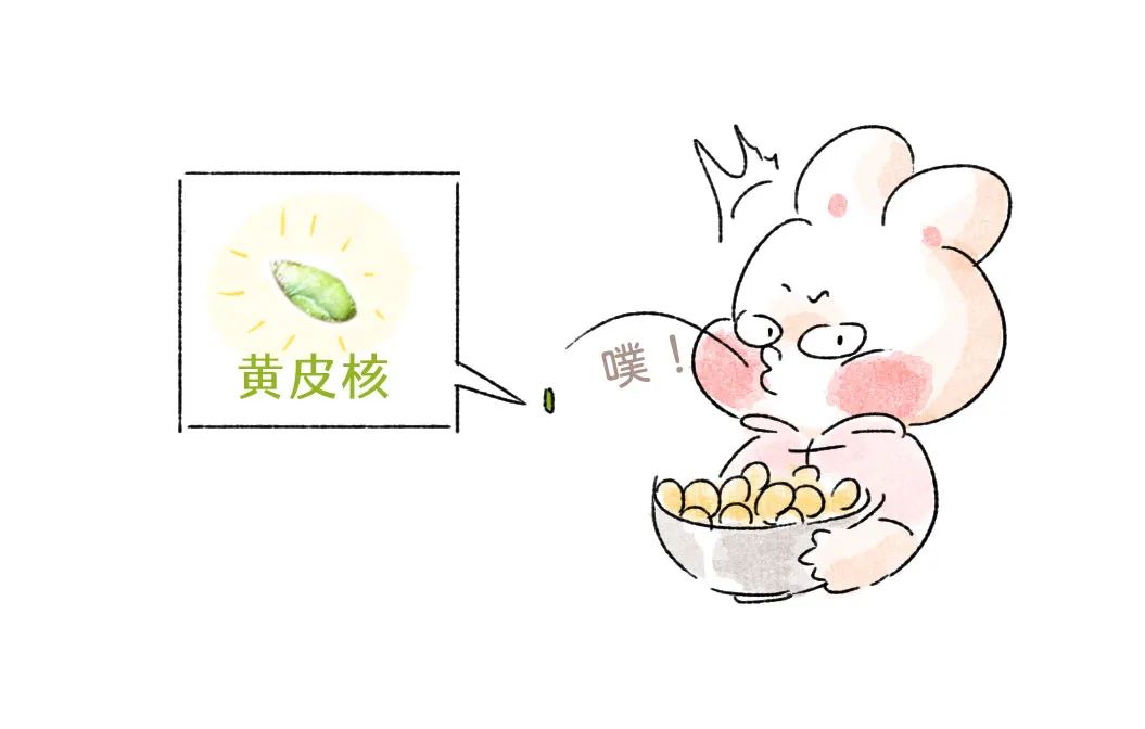 夏天最适合吃的正气果堪称果中陈皮