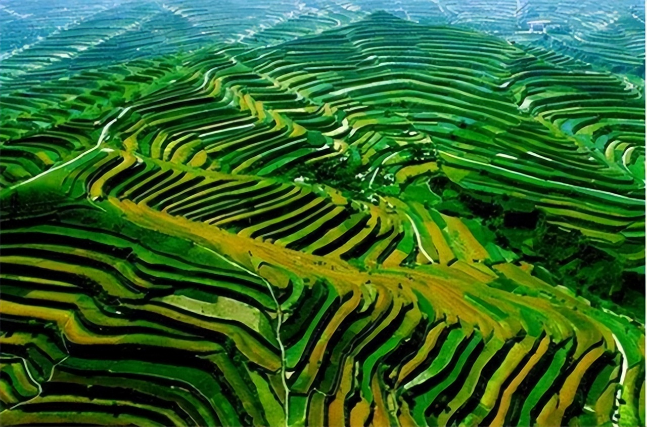 中国梯田美在庄浪