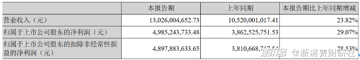 洋河股份财报