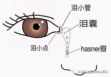 儿医小课堂 12 