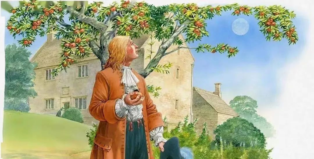 砸出万有引力定律的牛顿苹果树未来有望进入市民的视野