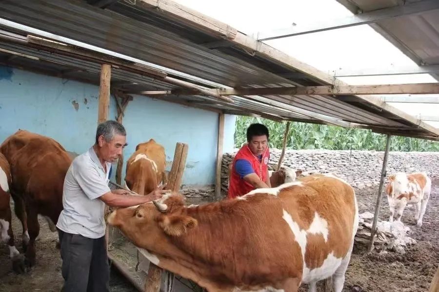 120畜牧养什么最赚钱