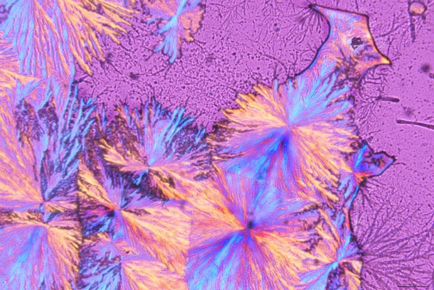 天大学子带你走进材料微观世界一起看画展