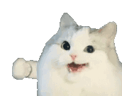 医院尿检仪器怎么卖医生说我可能得癌症？加钱做了299的量子体检后，我想一头创死_https://www.jmylbn.com_新闻资讯_第16张