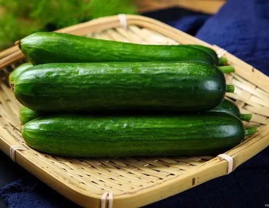 2022年千师万苗工程栽种未来家庭种植小青瓜技术指南