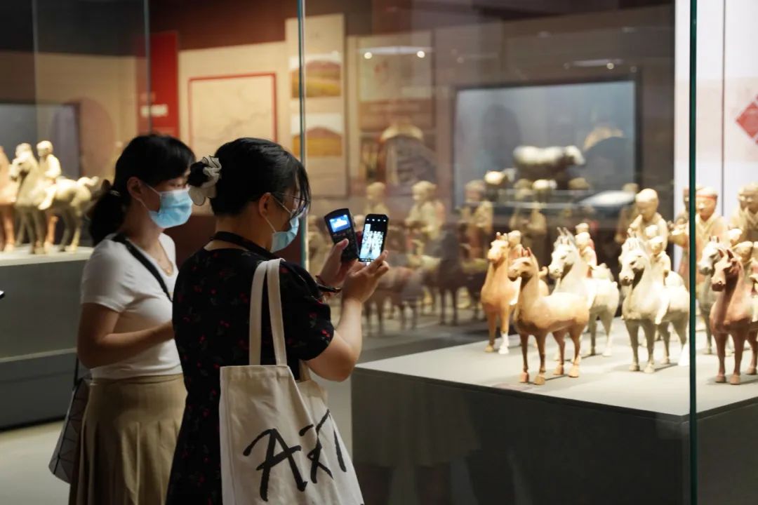 秦兵马俑正式亮相奉贤博物馆，馆方增设夜场控制人流量_澎湃号·政务_澎湃新闻-The Paper