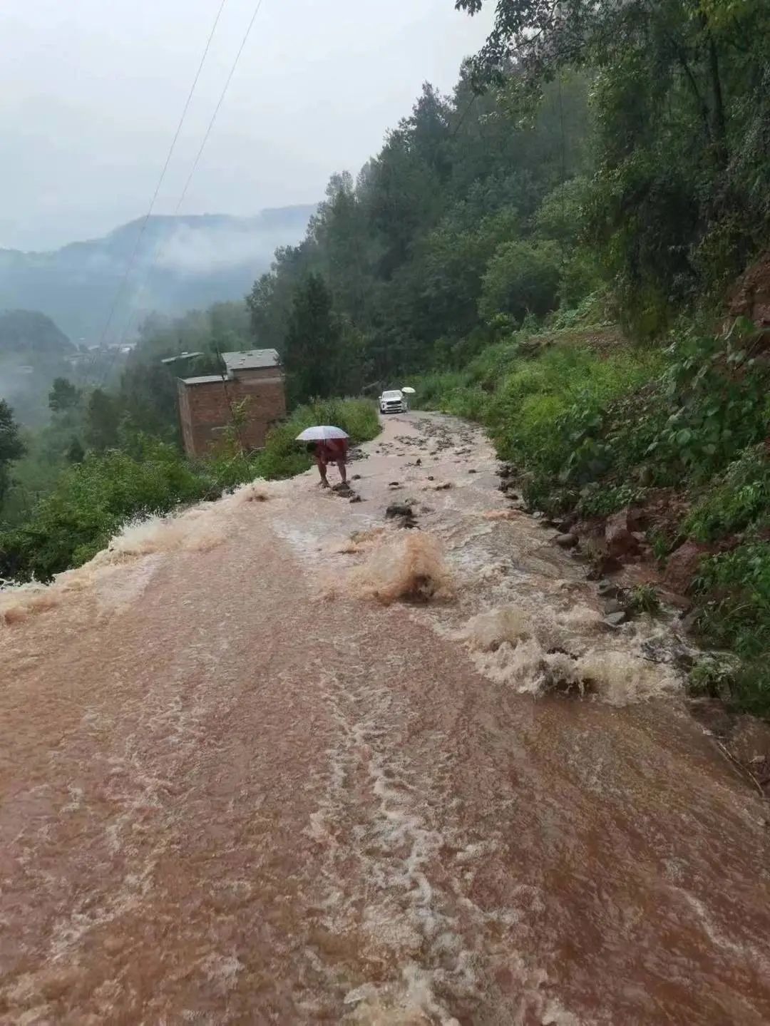 关注汛情 巴中普降暴雨到大暴雨 紧急避险转移4100余人 澎湃号·媒体 澎湃新闻 The Paper