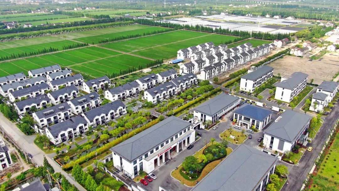 集中居住共治共享文明乡风泖港镇探索乡村振兴社会治理新路径丨听民意