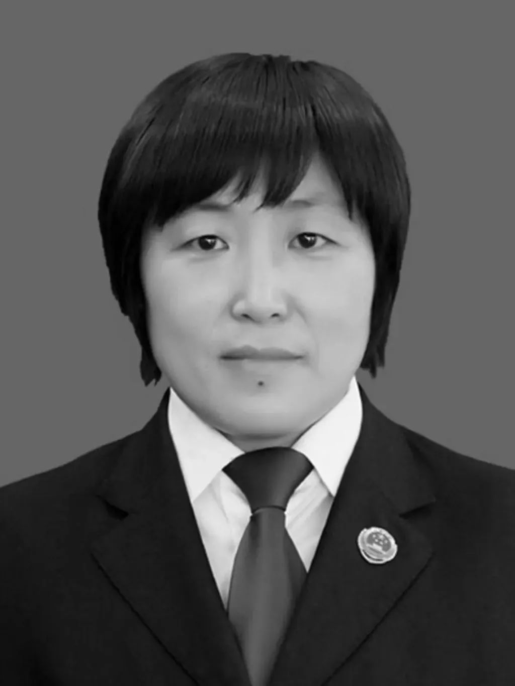 学榜样树先锋全国双百政法英模王丽倾尽心血汗水维护公平正义