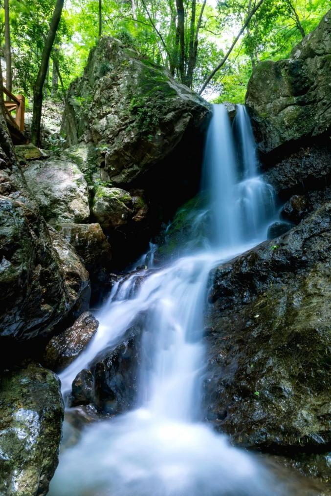 高山绿水图片大全图片